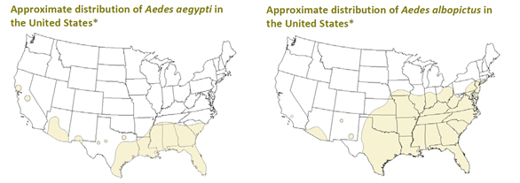 Aedes distribution. horizontal jpg