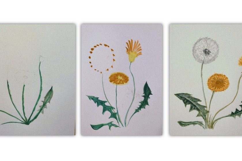 Progression of dandelion painting